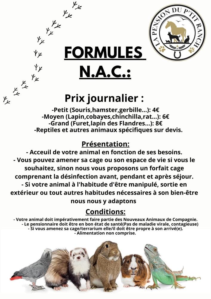 Fb img 1777372728866